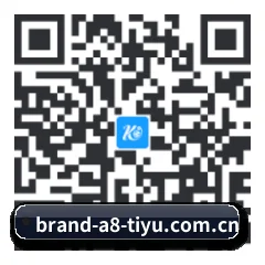 iOS 苹果生态原生版 二维码